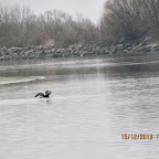 IMG_1601.JPG