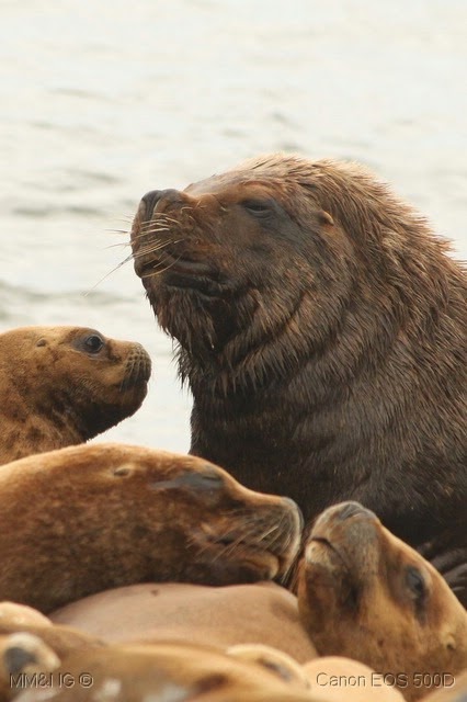 [IMG_7240%255B10%255D.jpg]