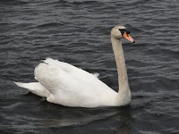 DSC03105.JPG