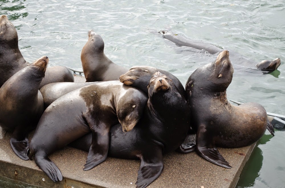 [DSC_0046%255B4%255D.jpg]