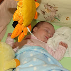 DSCF5547.JPG