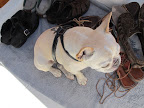 Franny, there are strict rules about shoes on Martha's boat.  Nothing but boat shoes are allowed.