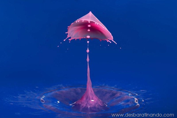 liquid-drop-art-gotas-caindo-foto-velocidade-hora-certa-desbaratinando (216) liquid-drop-art-gotas-caindo-foto-velocidade-hora-certa-desbaratinando (216)
