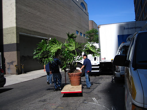 And through the streets on New York. The guys had to bring it around the corner onto the loading area so it was an amazing feat.