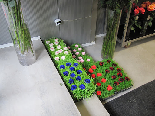 The display is on both sides of the main door to the store.
