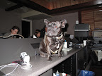 After the meeting, Sharkey and I went to the control room to say hello to our friends there.