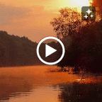 IMG_7201-MOTION.gif