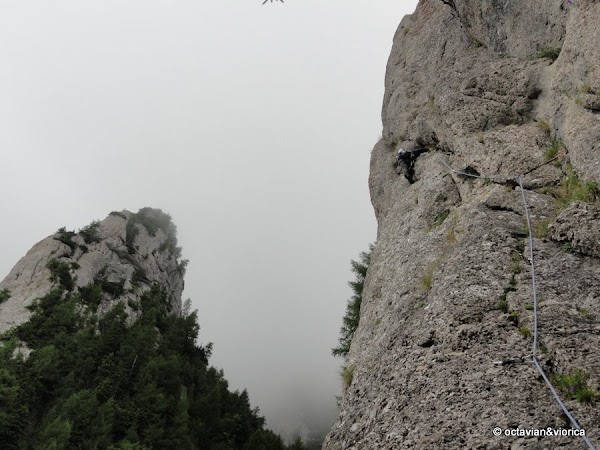 115.jpg