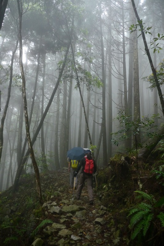 2013_0413 橫嶺山木馬古道_018 2013_0413 橫嶺山木馬古道_018