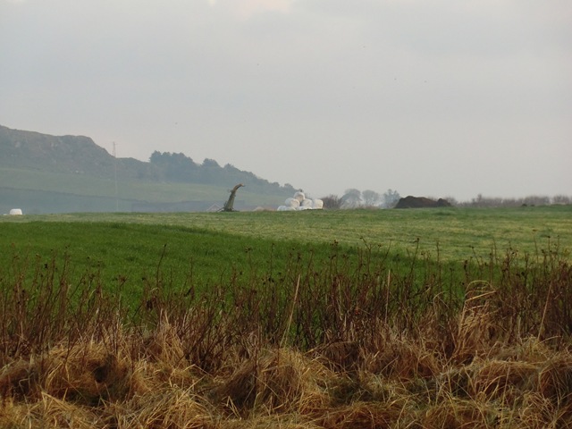 [november420110353.jpg]