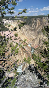 IMG_4106.jpg
