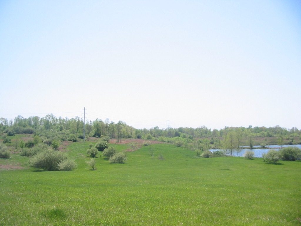 [IMG_5135%255B8%255D.jpg]