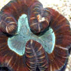 DSC_2165.jpg