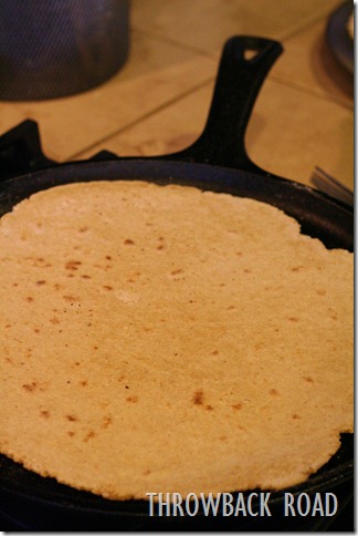 tortillas 031 tortillas 031
