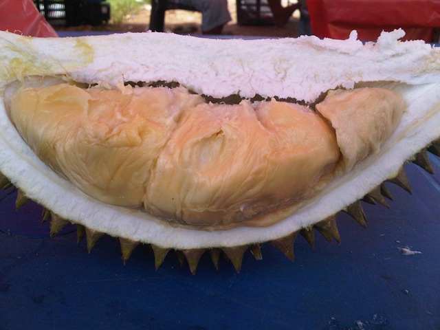 [IMG-20120117-01619%255B5%255D.jpg]