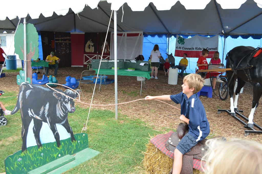 [DSC_2459%255B3%255D.jpg]