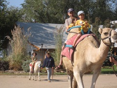 IMG_8727 IMG_8727