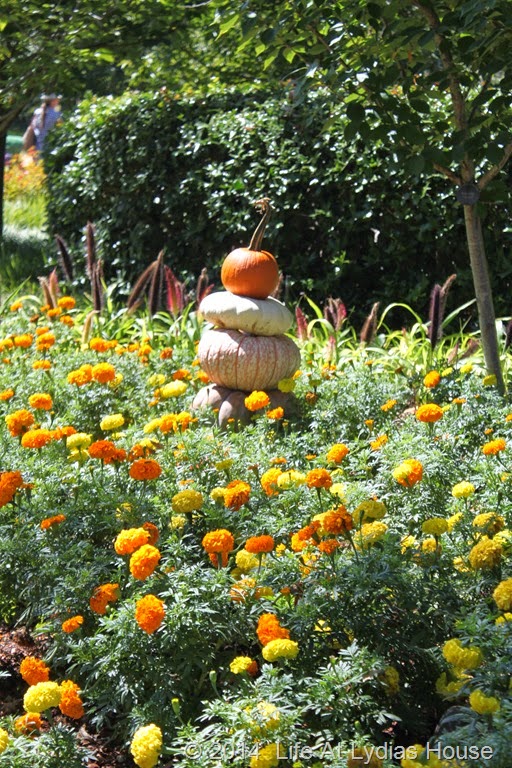 [Dallas-Arboretum---pumpkin-festival-%255B25%255D.jpg]