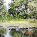 DSCN8130.JPG