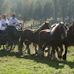 IMG_5513.png