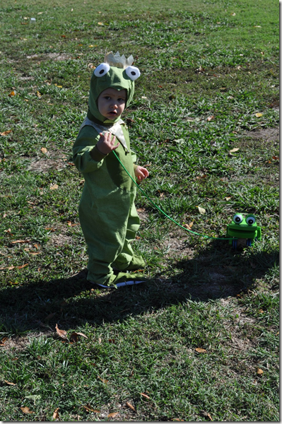 Frog Prince