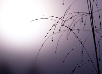 [DSC_0217%255B6%255D.png]