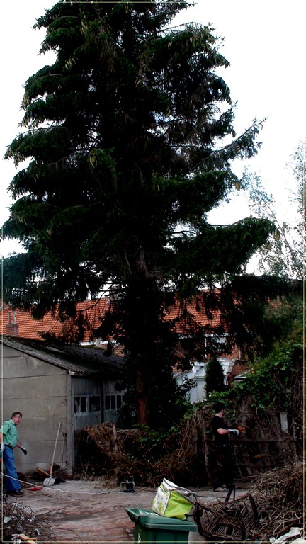 [DSC06801%255B3%255D.jpg]