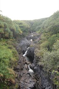 DSC_0986.jpg
