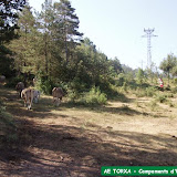 campaments2006-22.jpg