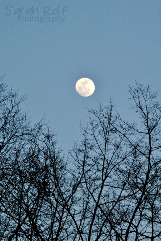[almost-full-moon%255B3%255D.jpg]