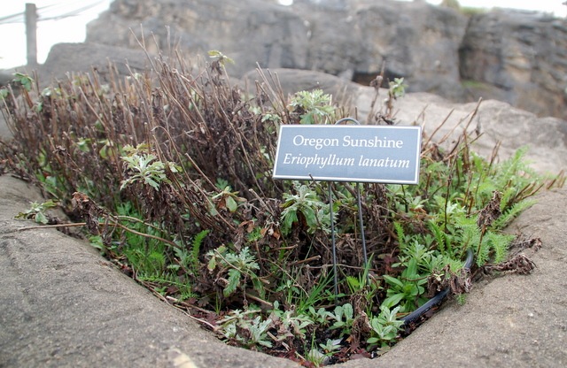 [DSC_5479%255B4%255D.jpg]