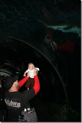 IMG_7523 IMG_7523