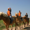 BP-2010-putim-0424-213.jpg