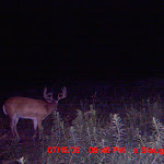 MDGC0266.JPG