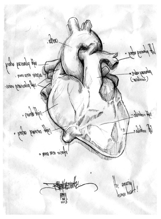 heart