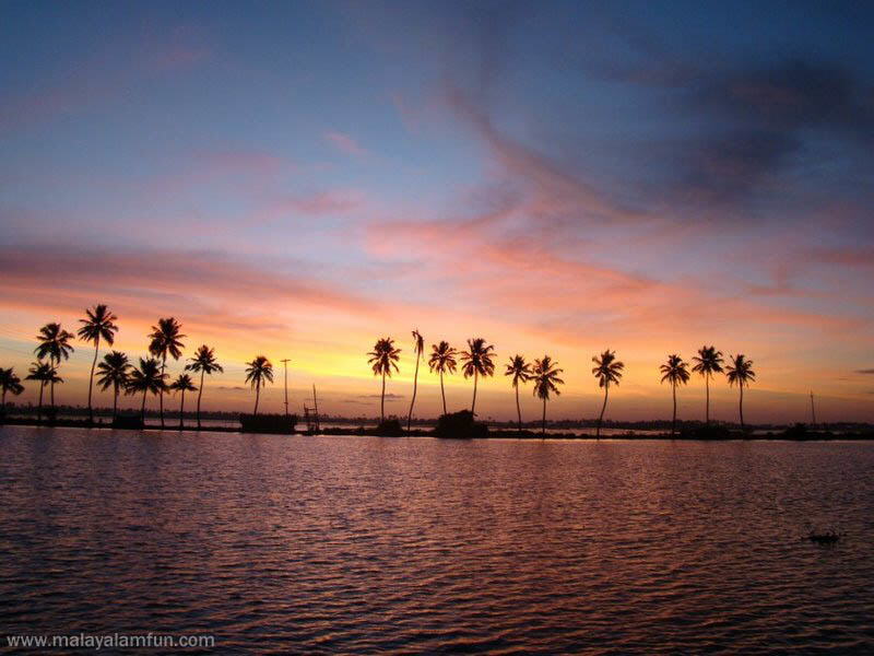 Oru Kuttanadan Yathra: The scenic view of Kerala(South India)