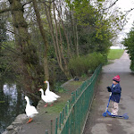 IMAG0068.jpg