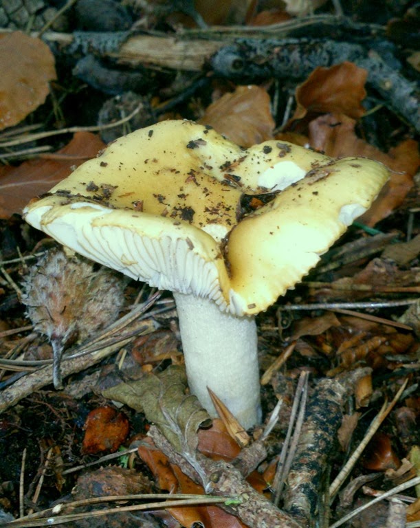 [DSC_0183%255B7%255D.jpg]