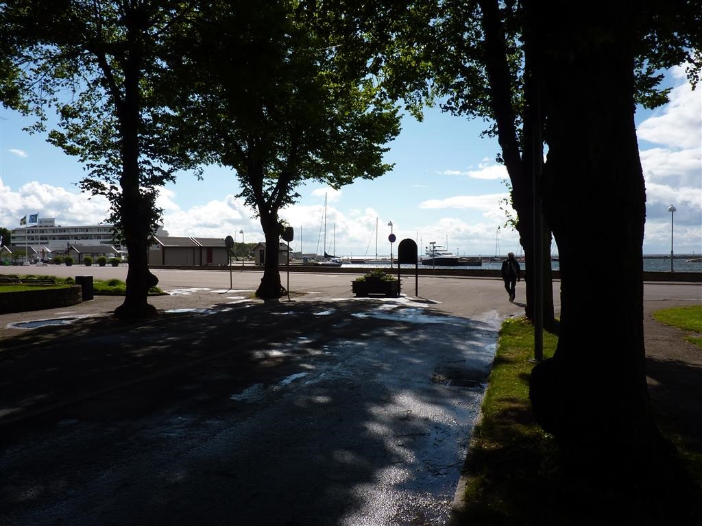 [P1030308-Medium3.jpg]