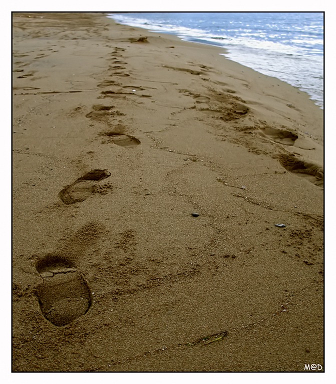 [Footprints_In_The_Sand_by_madilar%255B5%255D.jpg]