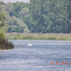 DSCN8190.JPG