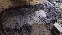 100_2810.JPG