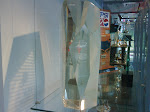 IMG00264-20090805-1432.jpg