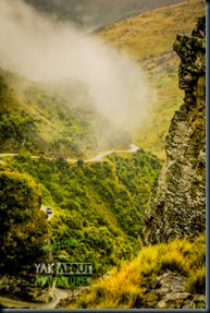 IMG_4447 - Copy