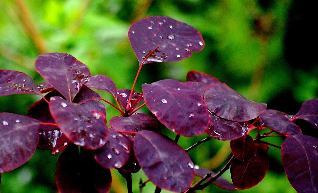 [22%2520July%25209%255B3%255D.jpg]