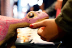 ForskarFredag Trollhättan 2011. Foto: Högskolan Väst.