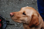 DSC_0063 DSC_0063