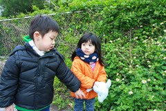 IMG_3183 IMG_3183