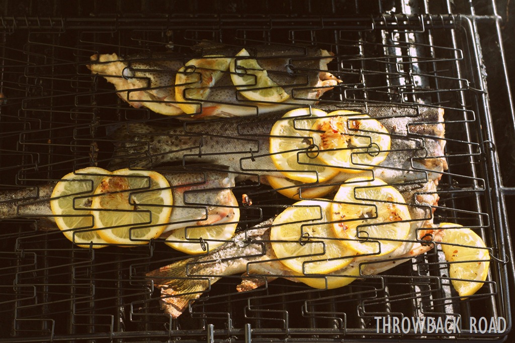 [trout%2520032%255B3%255D.jpg]