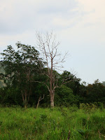 DSC05400.JPG